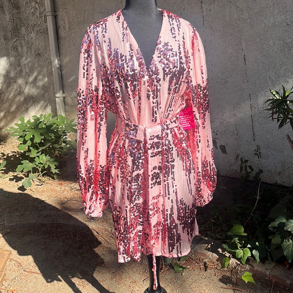 Buddy Love sequin dress size LARGE